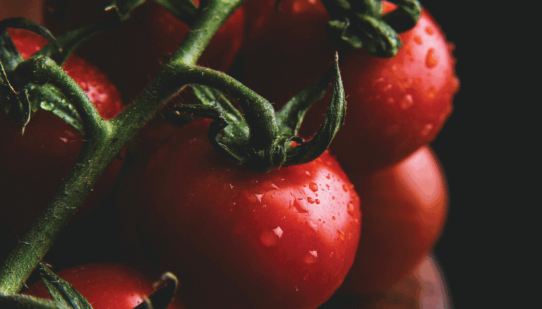 New Tomato Pomace Lacquers Offer Sustainable Solutions for Metal Food Packaging